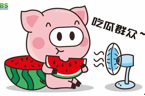 瓜瓜吃瓜娱乐版,娱乐版独家揭秘娱乐圈幕后故事