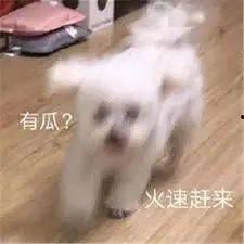 吃瓜娱乐趴,一场娱乐趴的狂欢之旅