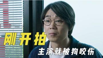 娱乐搞笑新闻吃瓜君,吃瓜君带你领略娱乐搞笑新闻盛宴
