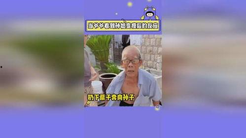 娱乐搞笑新闻吃瓜君,吃瓜君带你领略娱乐搞笑新闻盛宴