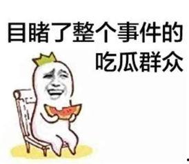 娱乐吃瓜酱自我介绍,揭秘网红八卦背后的故事