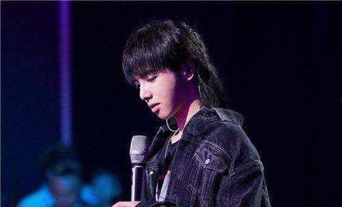 吃瓜娱乐华晨宇是谁,娱乐圈风云人物，音乐才子情感历程揭秘