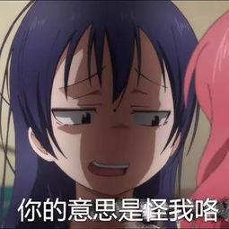 娱乐吃瓜酱人和人的羁绊,酱人羁绊下的网络社交景观