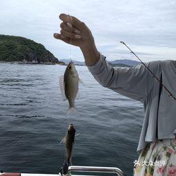 娱乐吃瓜钓鱼视频大全,全网热门娱乐吃瓜钓鱼视频大盘点