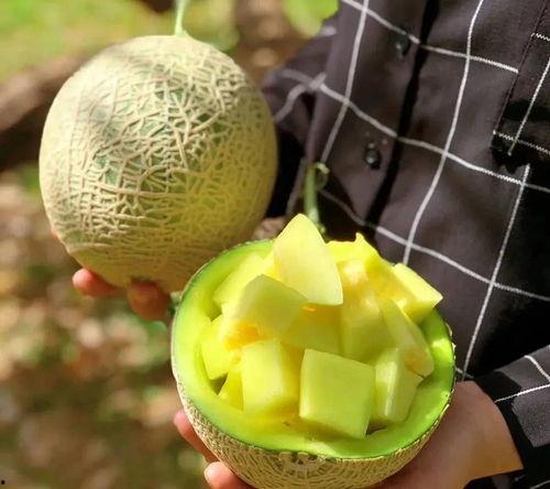 娱乐圈最近有什么瓜可以吃