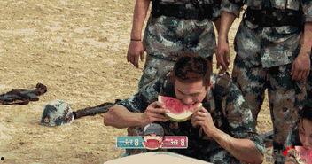 娱乐吃瓜地,吃瓜群众背后的故事