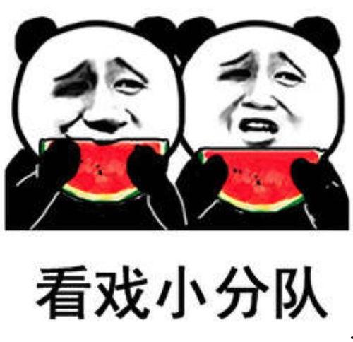 娱乐吃瓜音乐叫什么来着,揭秘流行乐坛的“瓜田”奇闻