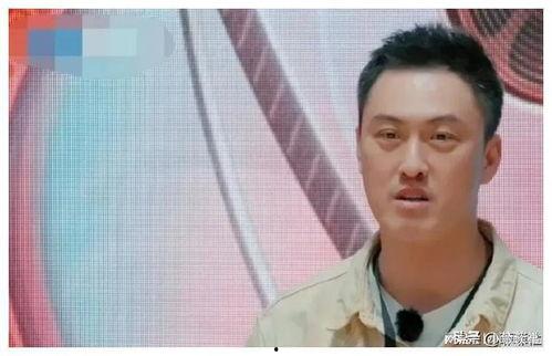 吃瓜娱乐圈任嘉伦是谁啊,娱乐圈的瓜中明星