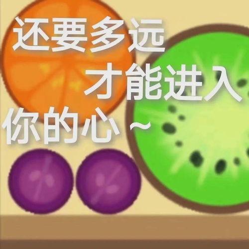 娱乐吃瓜酱微信头像图片,揭秘明星幕后故事，带你领略娱乐圈风云变幻